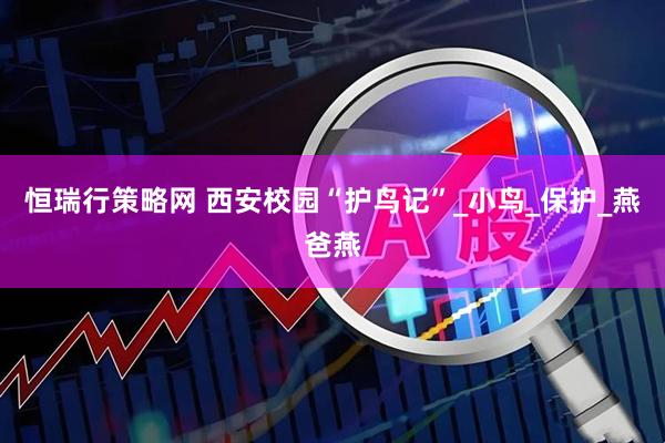 恒瑞行策略网 西安校园“护鸟记”_小鸟_保护_燕爸燕