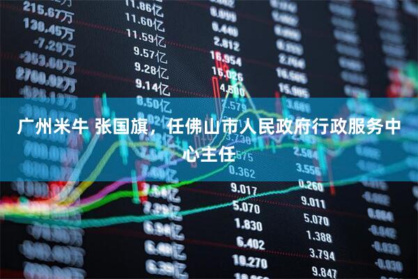 广州米牛 张国旗，任佛山市人民政府行政服务中心主任